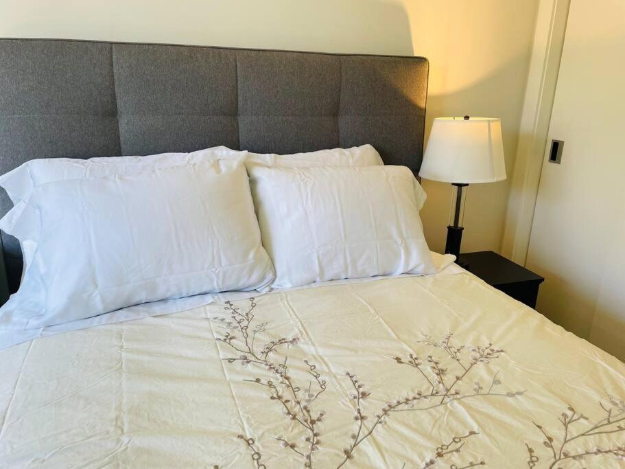 Spacious Downtown 2 Bedroom Condo With Pool And Air Conditioning Victoria Zewnętrze zdjęcie